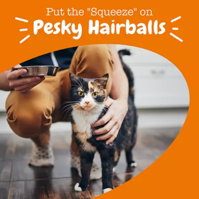 Product Zesty Paws Hairball Cat Mousse for Gut Health with AlaskOmega, Psyllium, Fish Oil & Biotin