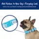 Product Top Paw® Blue Prince Dog Collar