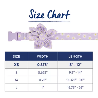Product Top Paw® Lavender Daisy Dog Collar