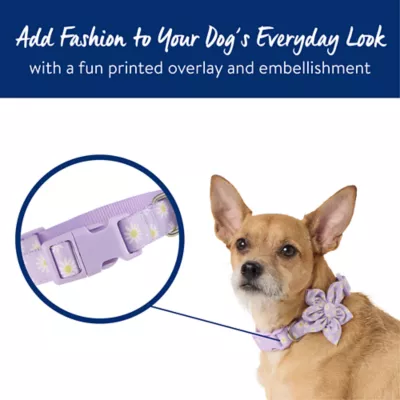 Product Top Paw® Lavender Daisy Dog Collar