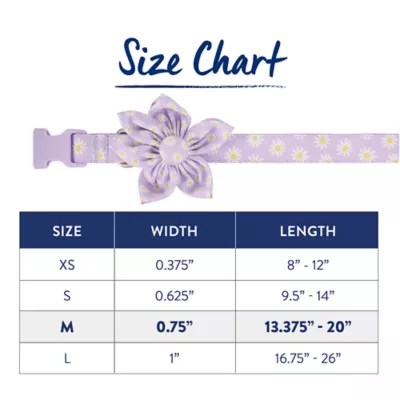 Product Top Paw® Lavender Daisy Dog Collar