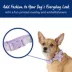 Top Paw® Daisy Flower Lavender Dog Collar, Adjustable, Multiple Sizes image thumbnail 2