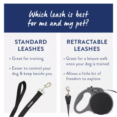 Product Top Paw® Blue Prince and Princess Dog Leash