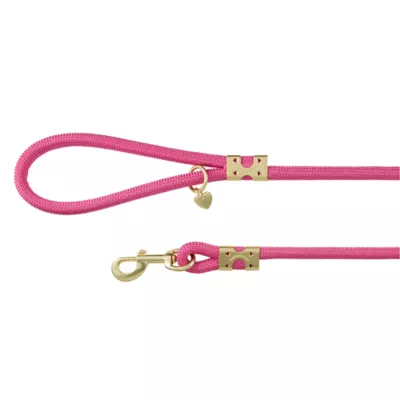 Top Paw® Fashion Dog Leash 4 Ft - Image 1
