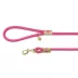 Top Paw® Fashion Dog Leash 4 Ft image thumbnail 1