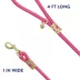 Top Paw® Fashion Dog Leash 4 Ft image thumbnail 2