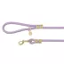 Top Paw® Fashion Dog Leash 4 Ft image thumbnail 1