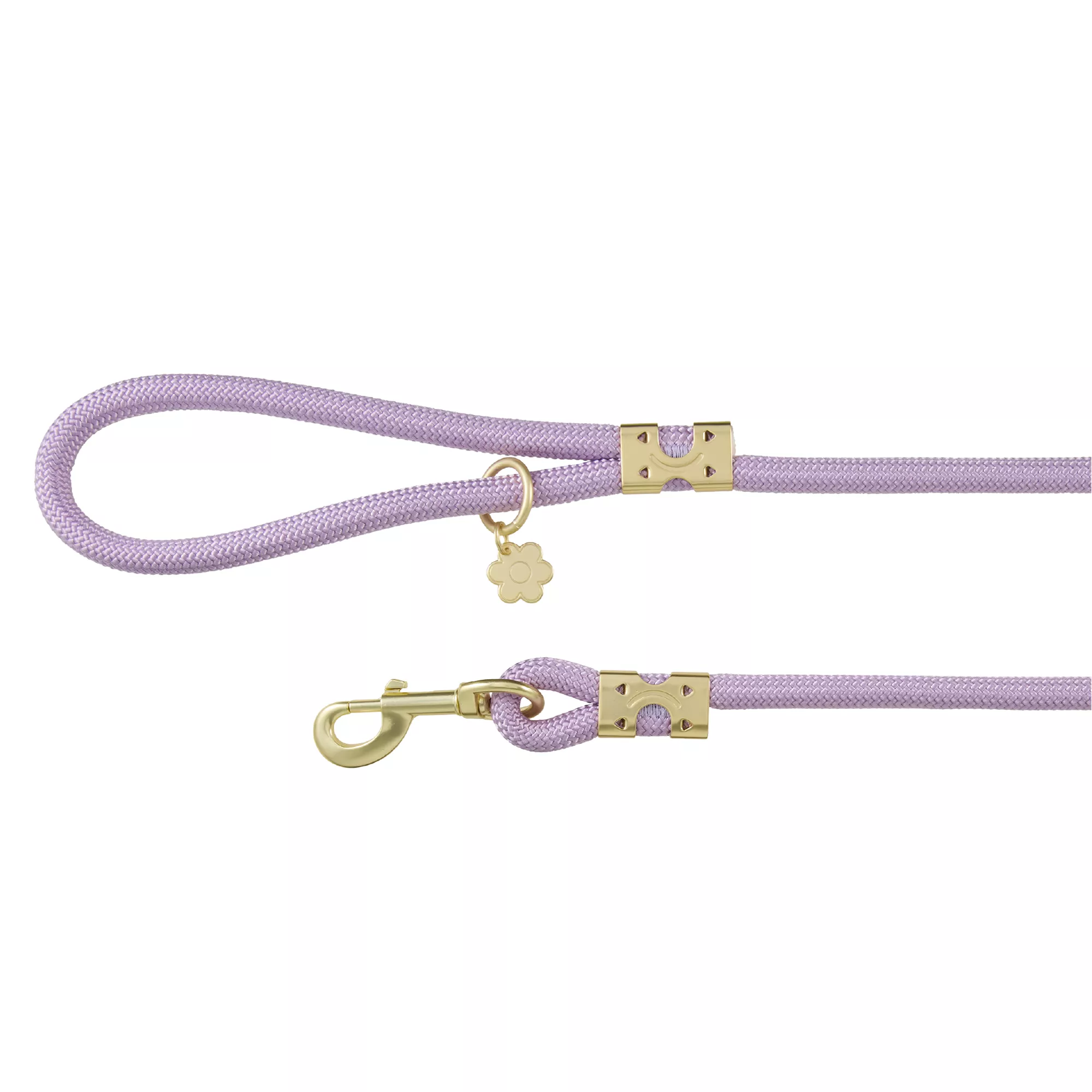 Top Paw® Fashion Dog Lead 4 Ft