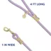 Top Paw® Fashion Dog Leash 4 Ft image thumbnail 2