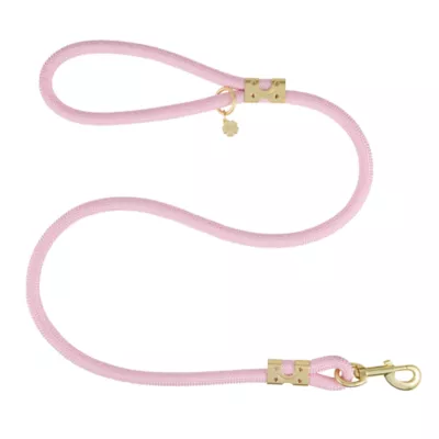 Product Top Paw® Fashion Dog Lead 4 Ft