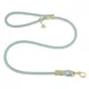 Product Top Paw® Fashion Dog Lead 4 Ft
