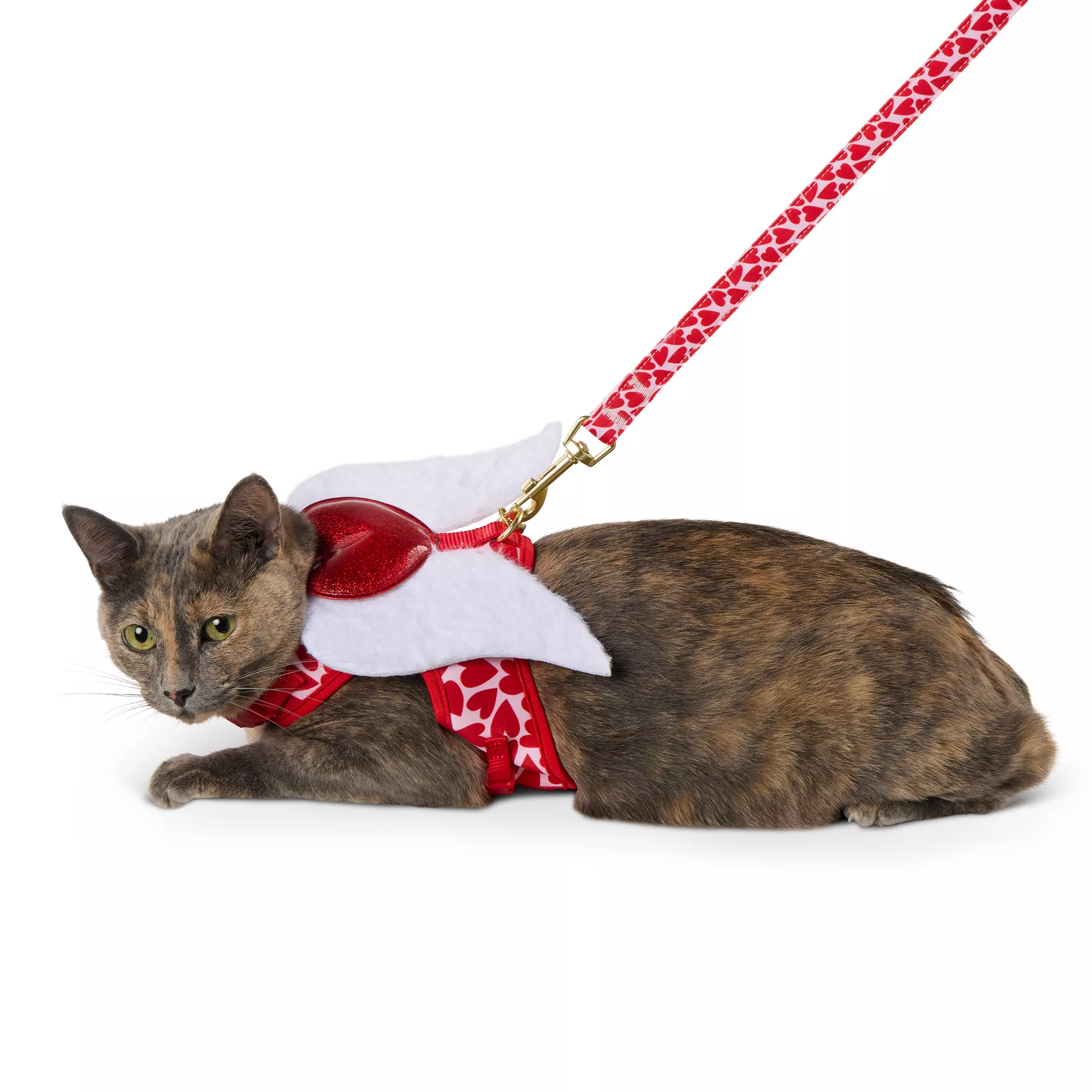 Whisker City Wings Cat Comfort Harness and Leash Combo Set