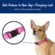 Product Top Paw® Dog Bones Dog Collar