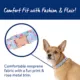 Product Top Paw® Blue Rose Dog Collar