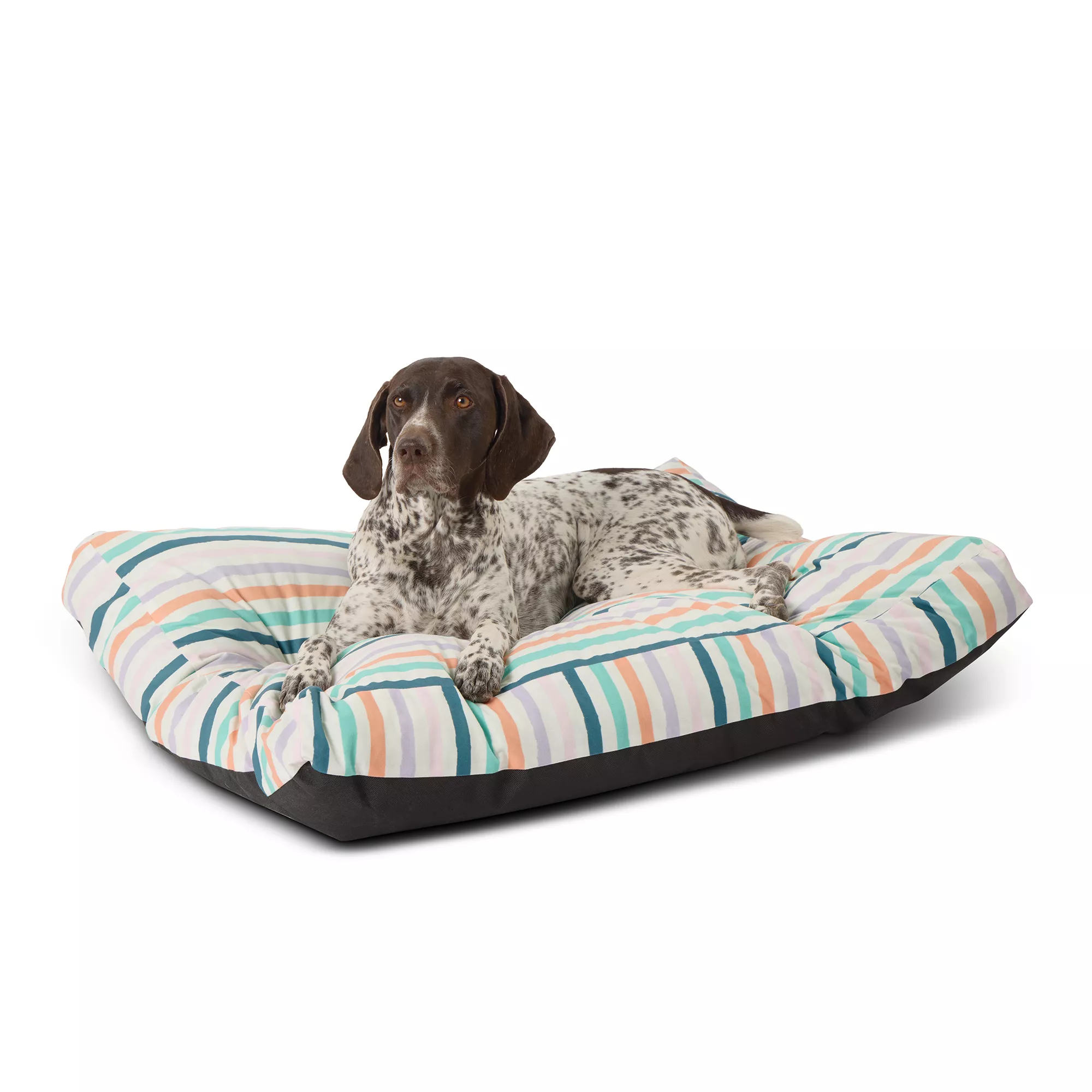 Top Paw® Striped Pillow Pet Bed