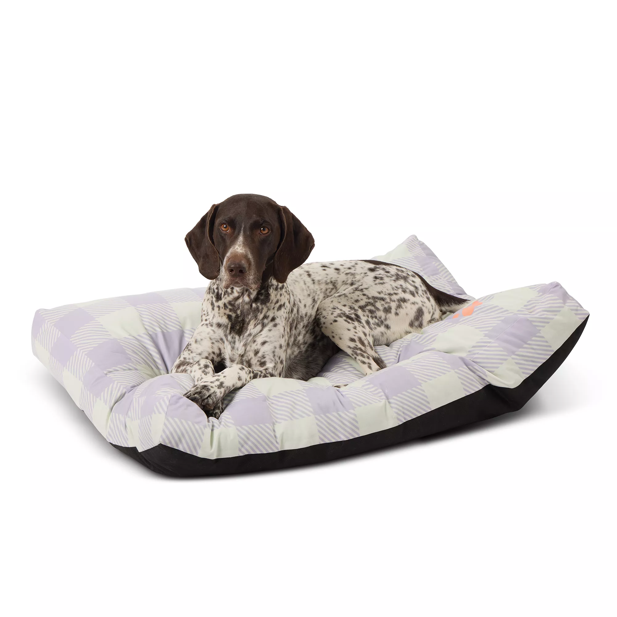 Top Paw® Plaid Pillow Dog Bed