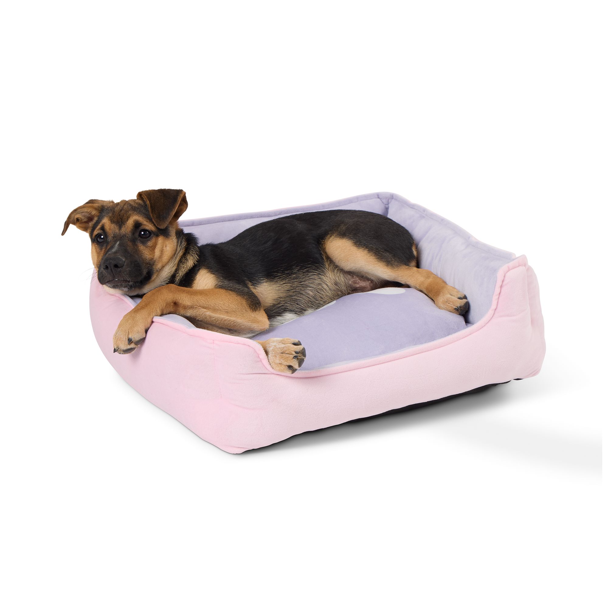 Purple dog bed hotsell