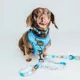 Product Sassy Woof Mickey Dog Leash