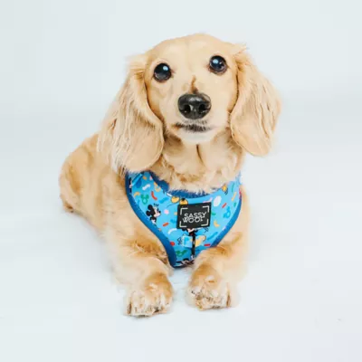 Product Sassy Woof Mickey Dog Harness