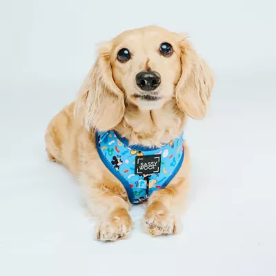 Product Sassy Woof Mickey Dog Harness
