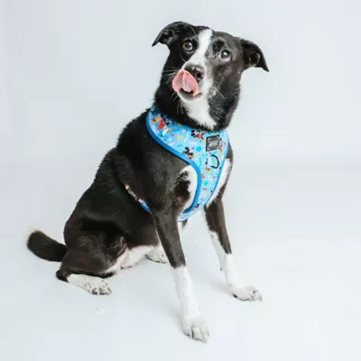 Product Sassy Woof Mickey Dog Harness