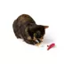Whisker City Lizard Cat Toy image thumbnail 9
