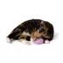 Whisker City® Catnip Animal Cat Toy image thumbnail 9