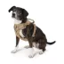 Top Paw® Neoprene Dog Harness, Adjustable, Durable, Comfortable, Multiple Sizes & Colors image thumbnail 1