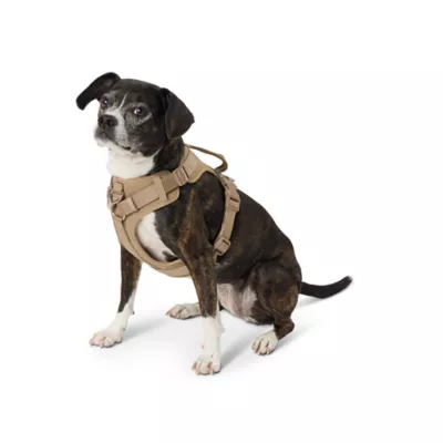 Product Top Paw® Neoprene Comfort Dog Harness