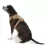 Top Paw® Neoprene Dog Harness, Adjustable, Durable, Comfortable, Multiple Sizes & Colors image thumbnail 2