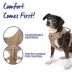 Top Paw® Neoprene Dog Harness, Adjustable, Durable, Comfortable, Multiple Sizes & Colors image thumbnail 4