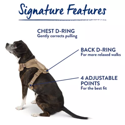 Top Paw® Neoprene Dog Harness, Adjustable, Durable, Comfortable, Multiple Sizes & Colors - Image 7