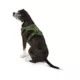 Product Top Paw® Neoprene Comfort Dog Harness