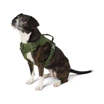 Product Top Paw® Neoprene Comfort Dog Harness