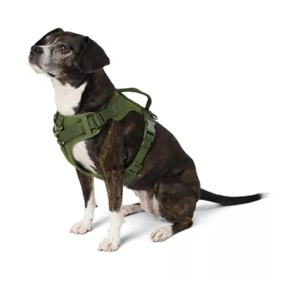 Top Paw® Neoprene Dog Harness, Adjustable, Durable, Comfortable, Multiple Sizes & Colors - Image 1