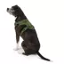 Top Paw® Neoprene Dog Harness, Adjustable, Durable, Comfortable, Multiple Sizes & Colors image thumbnail 2