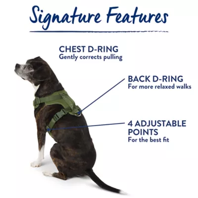 Top Paw® Neoprene Dog Harness, Adjustable, Durable, Comfortable, Multiple Sizes & Colors - Image 7