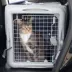Sport Pet Car Seat Crate with Divider for Cats and Dogs image thumbnail 8