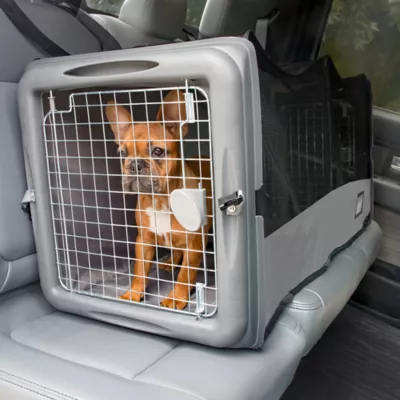 Backseat divider for two dogs sale