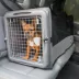 Sport Pet Car Seat Crate with Divider for Cats and Dogs image thumbnail 9