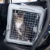 Sport Pet Car Seat Crate for Cats and Dogs image thumbnail 8