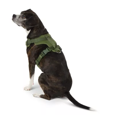 Top Paw® Neoprene Dog Harness, Adjustable, Durable, Comfortable, Multiple Sizes & Colors - Image 2