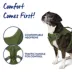 Top Paw® Neoprene Dog Harness, Adjustable, Durable, Comfortable, Multiple Sizes & Colors image thumbnail 4