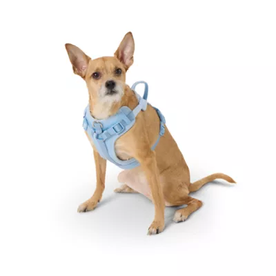 Top Paw® Neoprene Dog Harness, Adjustable, Durable, Comfortable, Multiple Sizes & Colors - Image 1