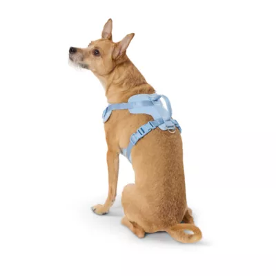 Top Paw® Neoprene Dog Harness, Adjustable, Durable, Comfortable, Multiple Sizes & Colors - Image 2