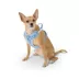 Top Paw® Neoprene Dog Harness, Adjustable, Durable, Comfortable, Multiple Sizes & Colors image thumbnail 1