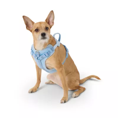 Product Top Paw® Neoprene Comfort Dog Harness