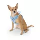 Product Top Paw® Neoprene Comfort Dog Harness