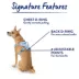Top Paw® Neoprene Dog Harness, Adjustable, Durable, Comfortable, Multiple Sizes & Colors image thumbnail 7