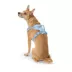Top Paw® Neoprene Dog Harness, Adjustable, Durable, Comfortable, Multiple Sizes & Colors image thumbnail 2